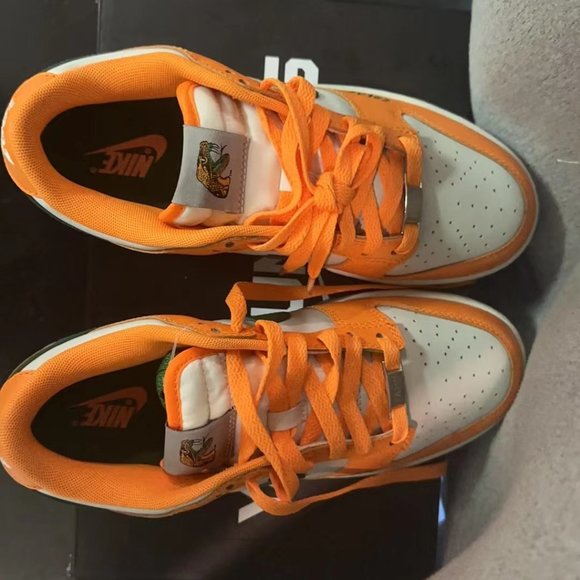 Nike Dunk Low Florida A&M University